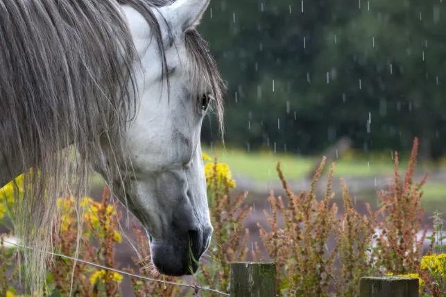 雨天正能量的句子 雨天短句暖心话正能量
