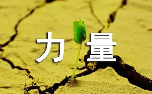 如何理解社会主义核心价值观的道义力量?