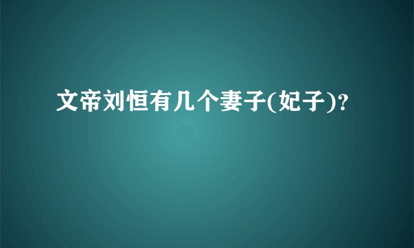 文帝刘恒有几个妻子(妃子)?