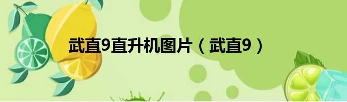 武直9直升机图片(武直9)