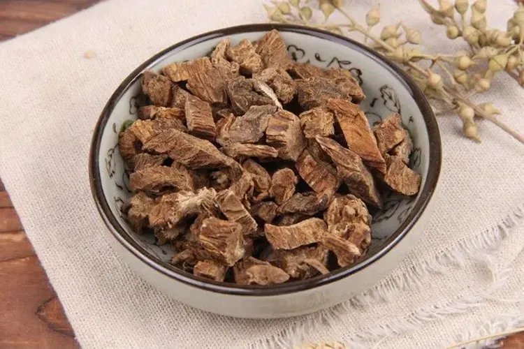 百部根药材图片