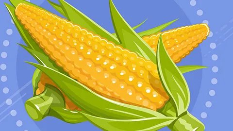 玉米须如何降血糖