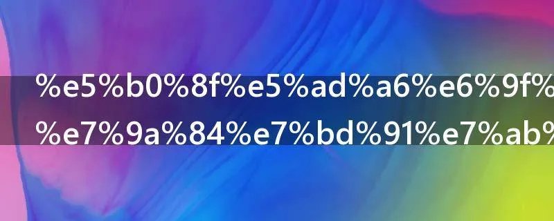 小学查分数的网站是什么