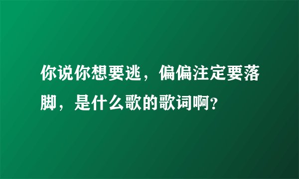你说你想要逃,偏偏注定要落脚,是什么歌的歌词啊?