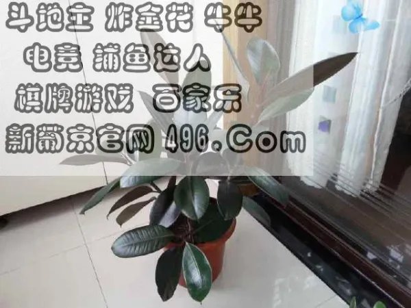 巴士电玩城最近怎么打不死鱼?