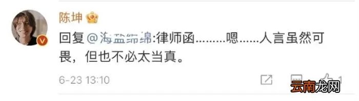 陈坤儿子生母疑曝光 陈坤儿子的妈妈