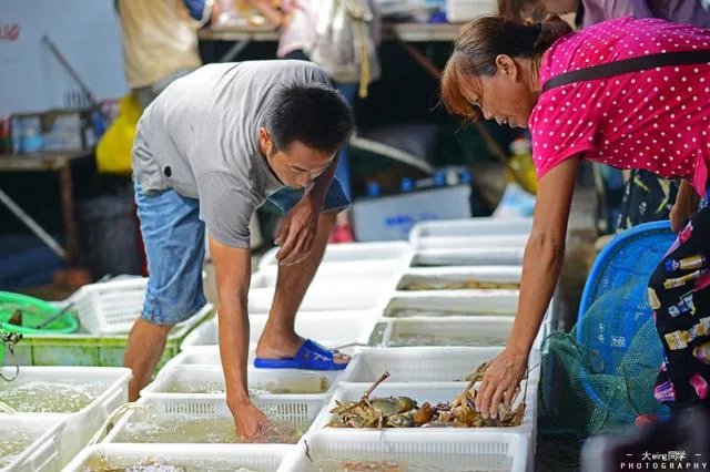 珠海东澳岛好玩吗？景色怎么样？