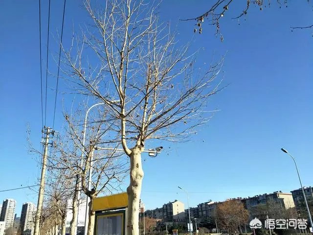 想放弃的时候怎么办？