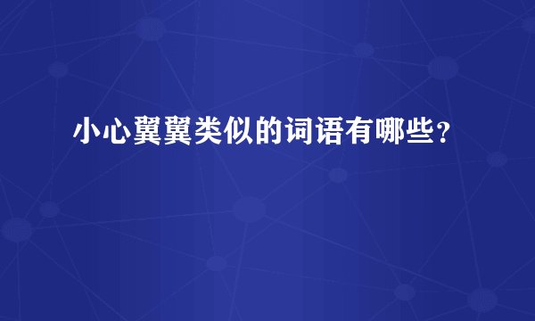 小心翼翼类似的词语有哪些？