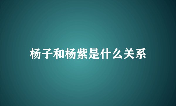 杨子和杨紫是什么关系