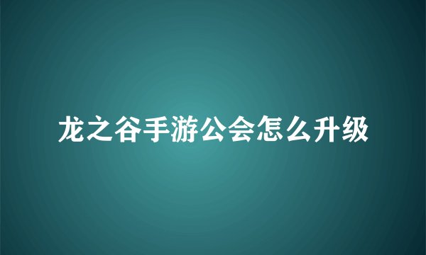 龙之谷手游公会怎么升级