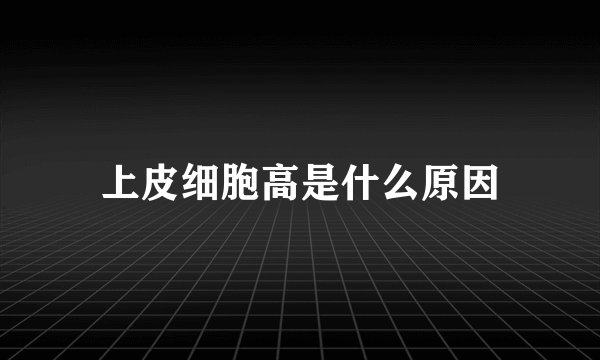 上皮细胞高是什么原因
