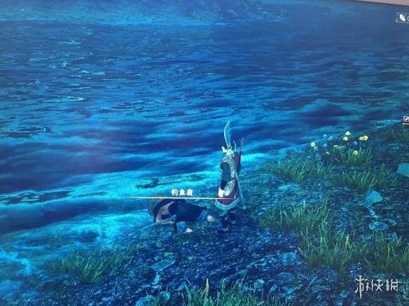 《河洛群侠传》深夜钓鱼翁任务怎么做？深夜钓鱼翁任务攻略