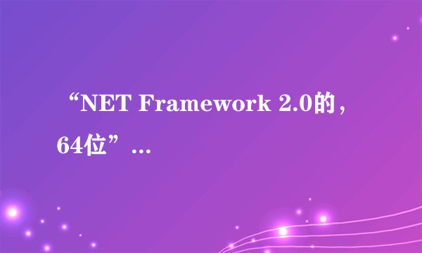 “NET Framework 2.0的， 64位”是什么意思?