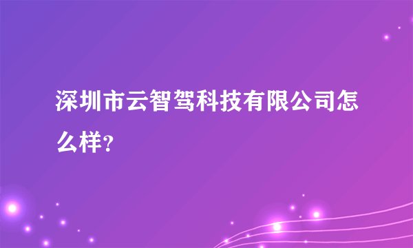 深圳市云智驾科技有限公司怎么样？