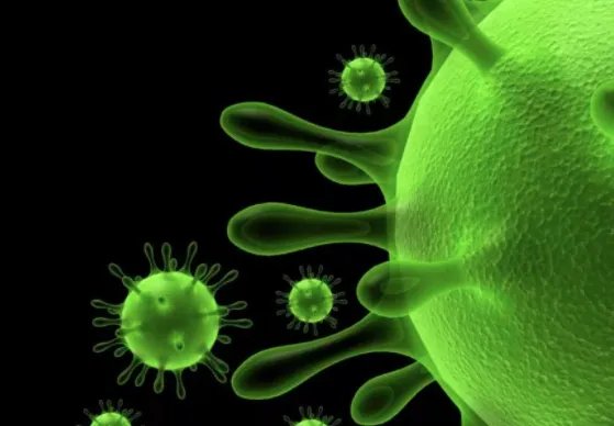 31省份新增51例本土，这些病例涉及到了哪些地方？