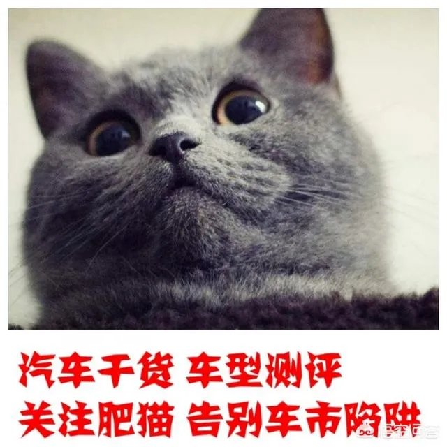 35万左右的SUV有哪些可以推荐？