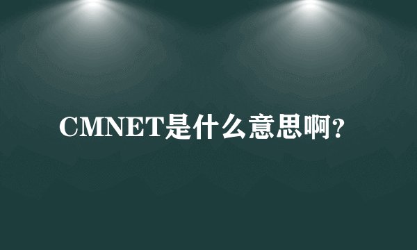 CMNET是什么意思啊？