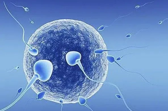 贵阳试管供卵价格-贵阳医学院附属医院试管婴儿收费明细，2023年三代捐卵价格表