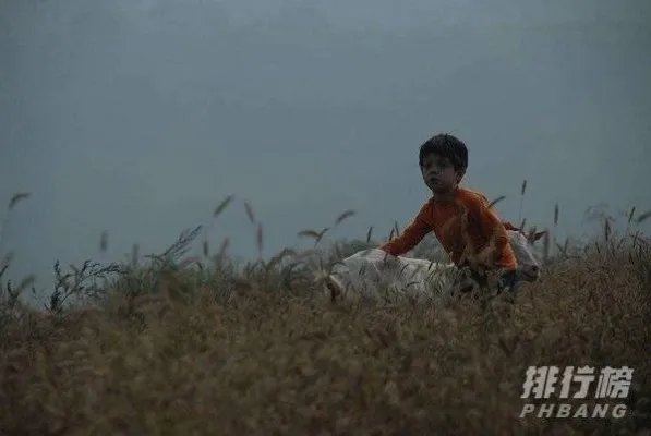 中国十大催泪感人电影-最感人的国产电影排行榜前十名