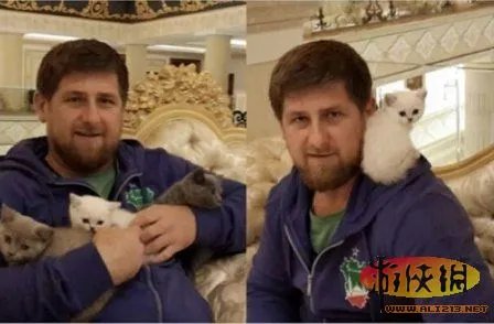 老汉公园遛老虎惊呆路人 揭秘世界牛人和他们的奇葩宠物