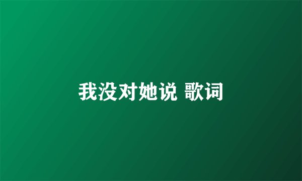 我没对她说 歌词