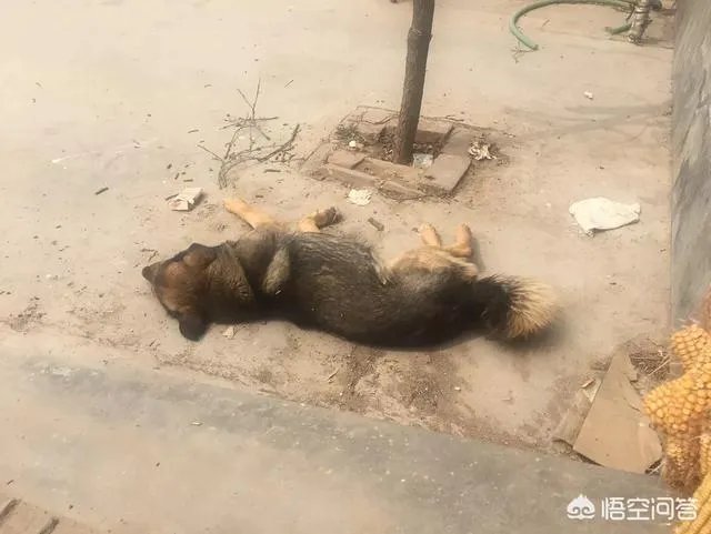 广州中小学教育继续教育不搞会怎样