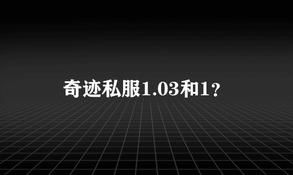 奇迹私服1.03和1？