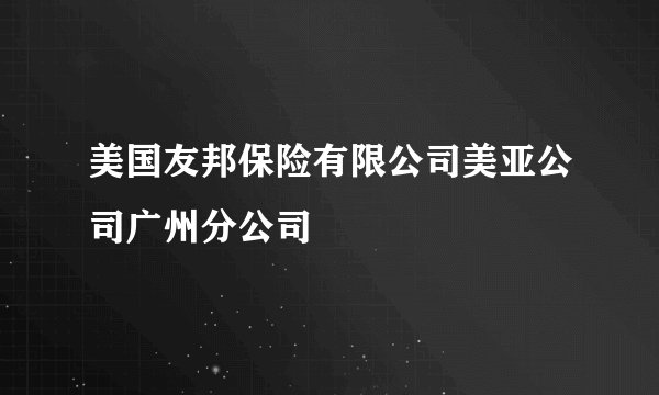 美国友邦保险有限公司美亚公司广州分公司