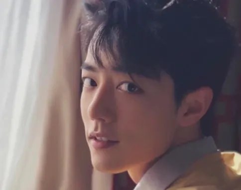 肖战为什么被全网黑？