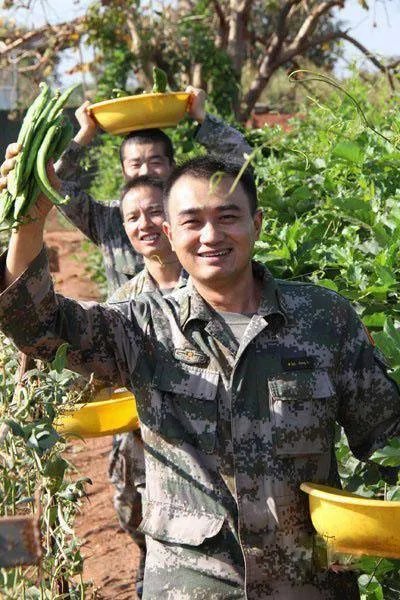 非洲吉布提的荒漠里种出了大西瓜，中国解放军功不可没