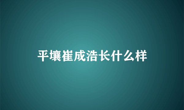 平壤崔成浩长什么样