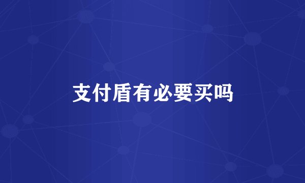 支付盾有必要买吗