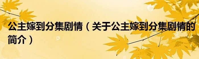 公主嫁到分集剧情（关于公主嫁到分集剧情的简介）