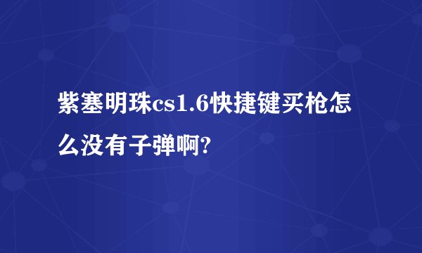 紫塞明珠cs1.6快捷键买枪怎么没有子弹啊?