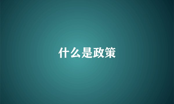 什么是政策