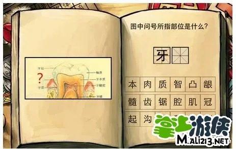 中国好学霸新年版攻略生物第二册答案大全