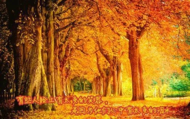 六宫无妃三世繁花小说花繁落墨归羽免费阅读