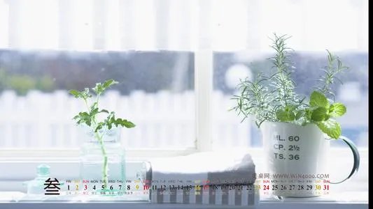 2014年3月日历壁纸|2014年3月日历壁纸桌面