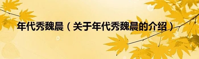 年代秀魏晨（关于年代秀魏晨的介绍）