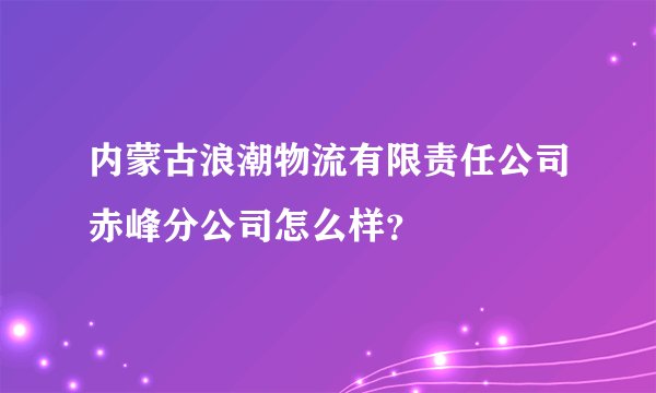 内蒙古浪潮物流有限责任公司赤峰分公司怎么样？