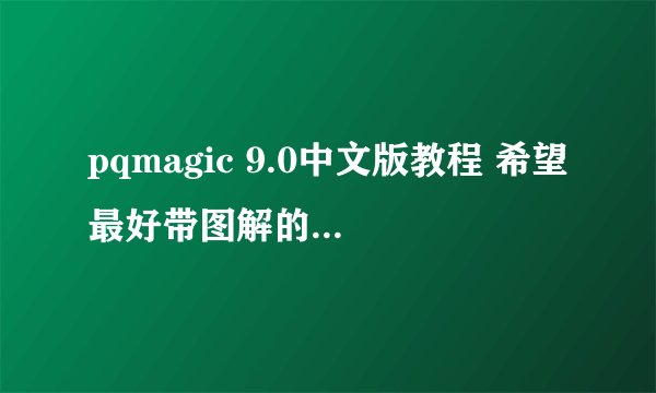 pqmagic 9.0中文版教程 希望最好带图解的!!谢谢了!!急急急急急!
