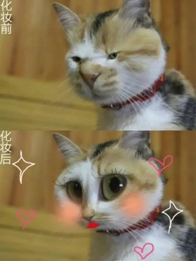 【老板电器】你家厨房3D设计效果图免费出啦，赶紧戳进来！