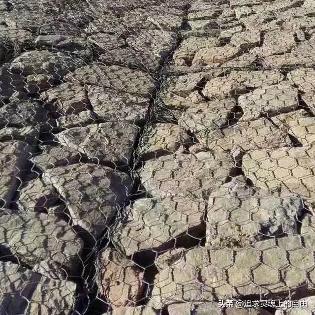 石笼网主要用在什么地方？