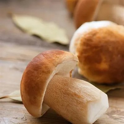 尿失禁偏方怎么治疗