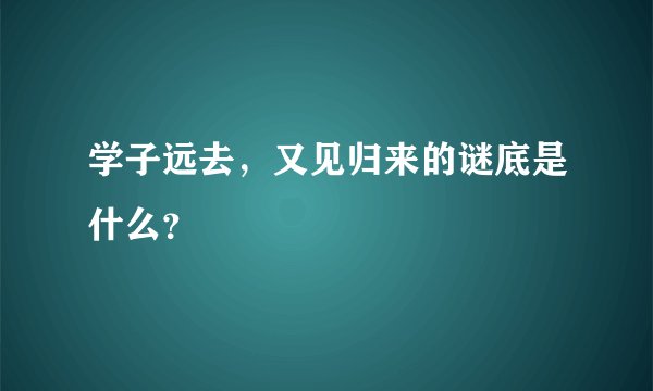学子远去，又见归来的谜底是什么？