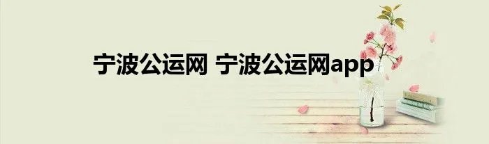 宁波公运网 宁波公运网app