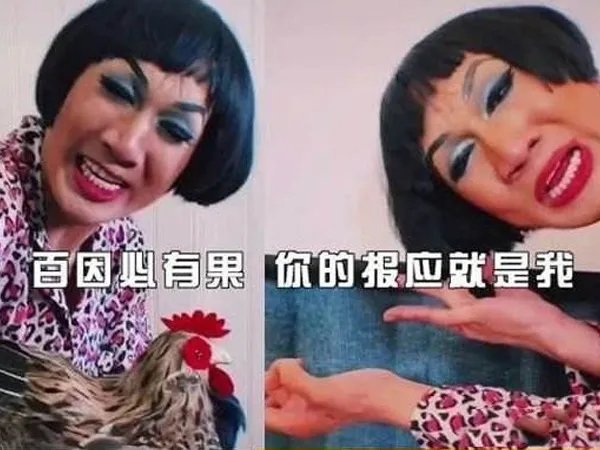 抖音百因必有果你的报应就是我什么意思，百因必有果下一句是什么