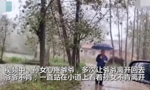 孙女返程爷爷雨中相送不肯离开是怎么回事？
