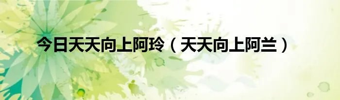 今日天天向上阿玲（天天向上阿兰）